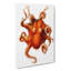Octopus by Carl Chun - Wrapped Canvas-55359882