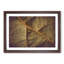 Paths of the Leaf - Picture Frame Photograph Print-55739261-55739263