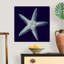 « Indigo shells IV » par vision studio-impression-538534987-538534988