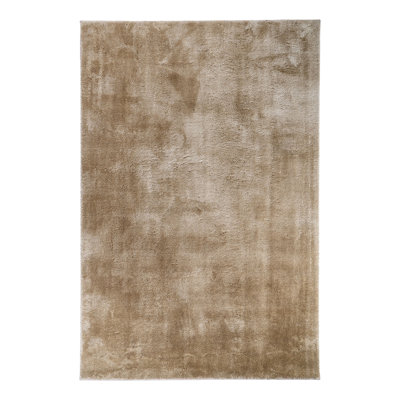 Isanotski Solid Colour Area Rug