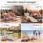 Haverly Outdoor Chaise Lounge Set
