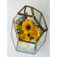 Arrangement floral en boîte