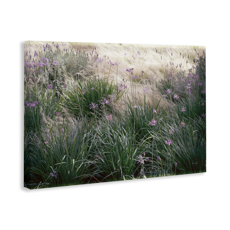 Art mural sur toile Secret Garden Meadow Blooms, design par Deborah Revell, H 16 po x l 24 po