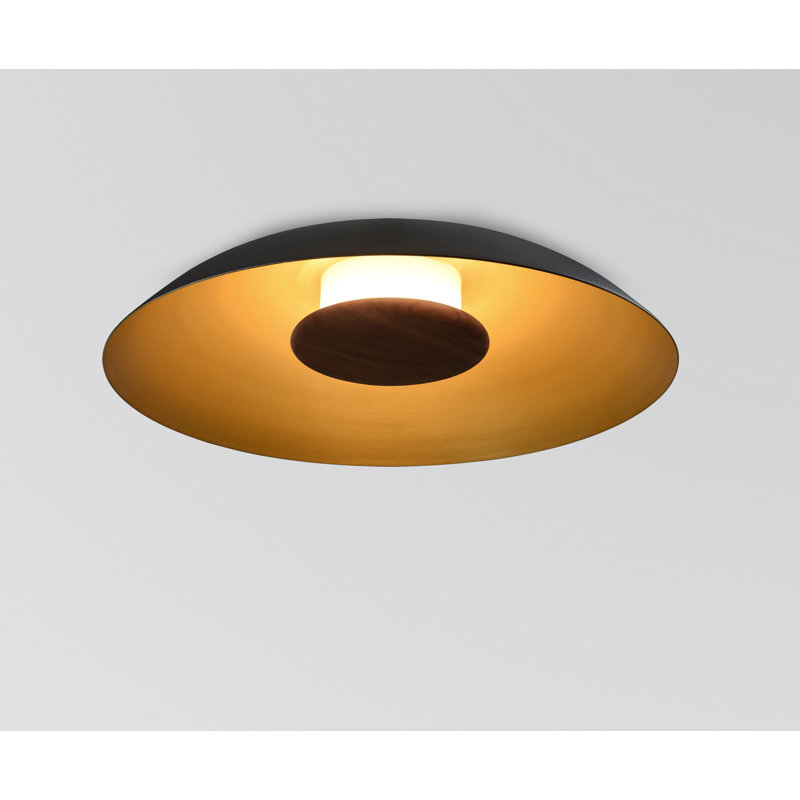 Volo 24" LED Flush Mount, Noir, 4000K