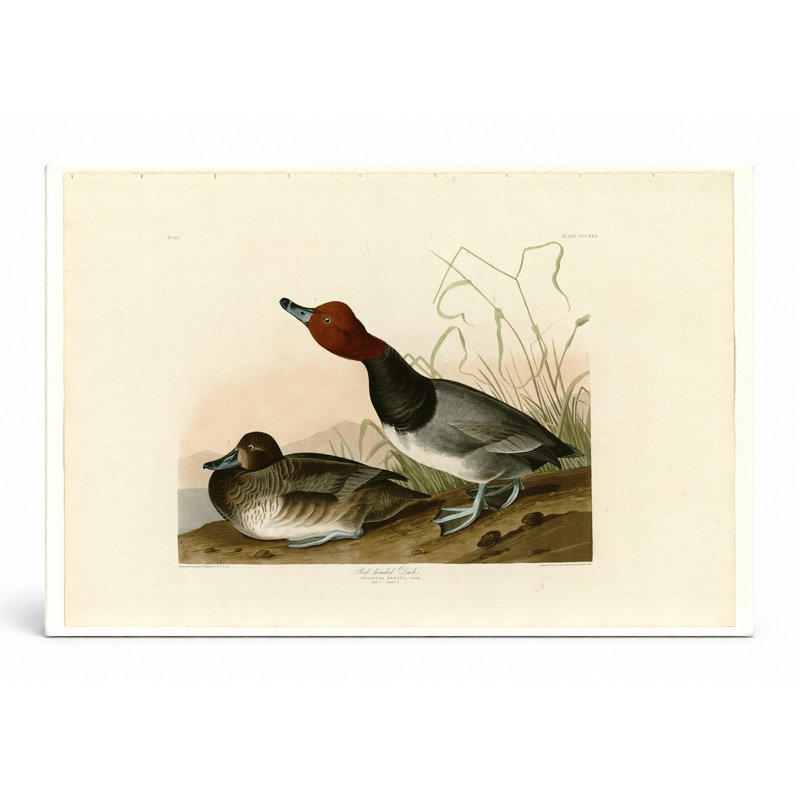 «Red-red Duck», planche 322 - paysage, art mural sur toile, 14" W x 11" H