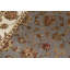 Oriental Area Rug