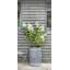 Fornah Fibreglass Planter