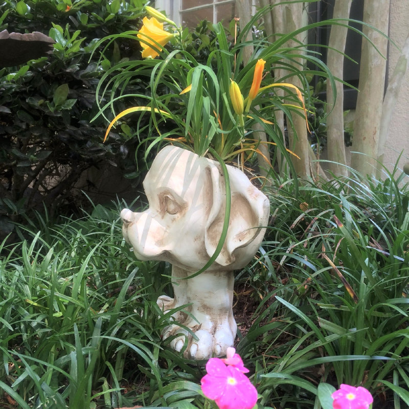Ensemble de 2 statues mugley le chat et le chien Mugley's Muggly's, Lavage en pierre/blanc antique