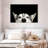 Peeking Siberian Husky-107504625