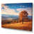Wrapped Canvas
