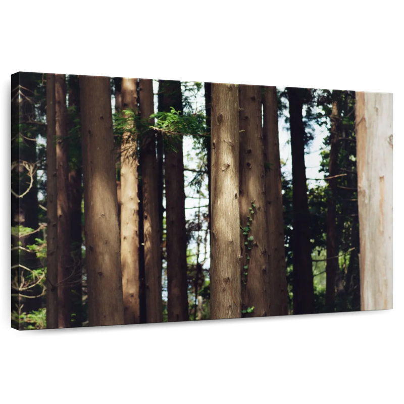 Harnek Pine Forest, 32" H x 48" W