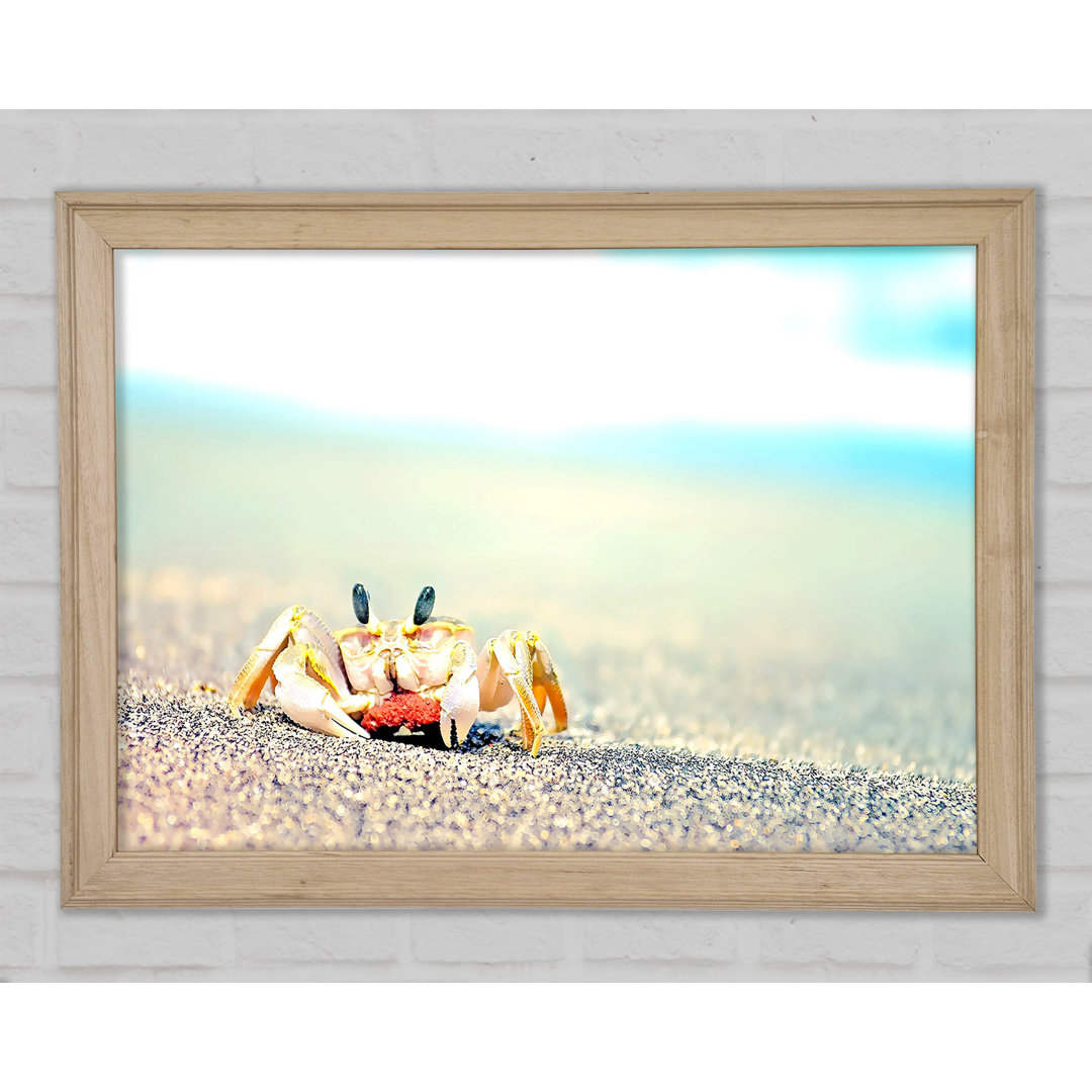 Gerahmtes Bild Lonely Crab