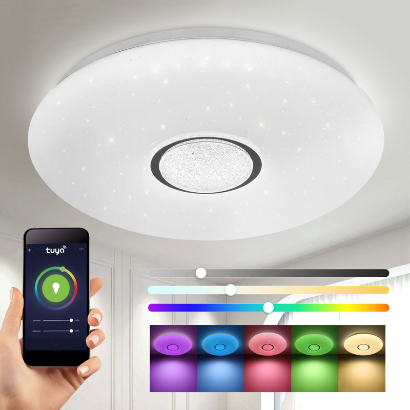 Carlette LED Smart Flush Ceiling Lights Wi-Fi RGB Connect with Tuya Works with Alexa, Google Home