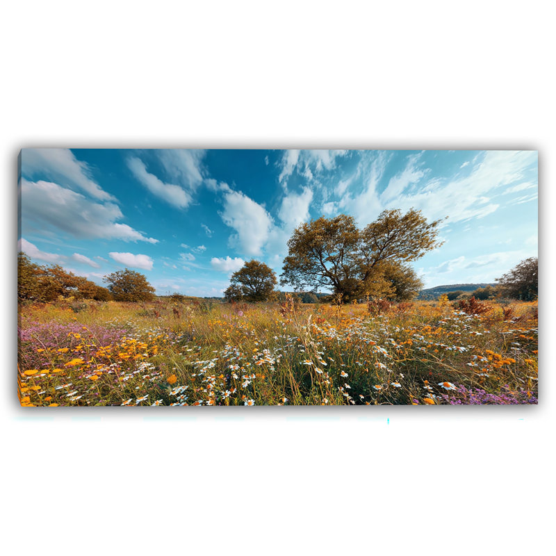Art mural sur toile Meadow Skies, H 20 po x l 40 po
