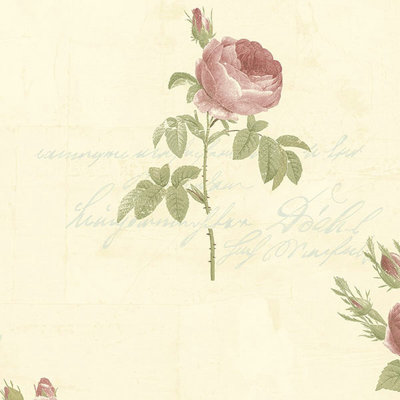 Rouleau de papier peint floral et botanique 33 pi x l 21 po Larosa