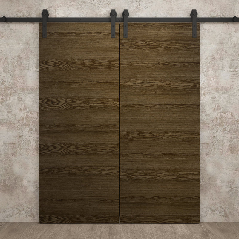 Modern Double Barn Door | Ego 5000 | Track Set | Solid Panel Interior Doors, Marble Oak, 48'' x 96''