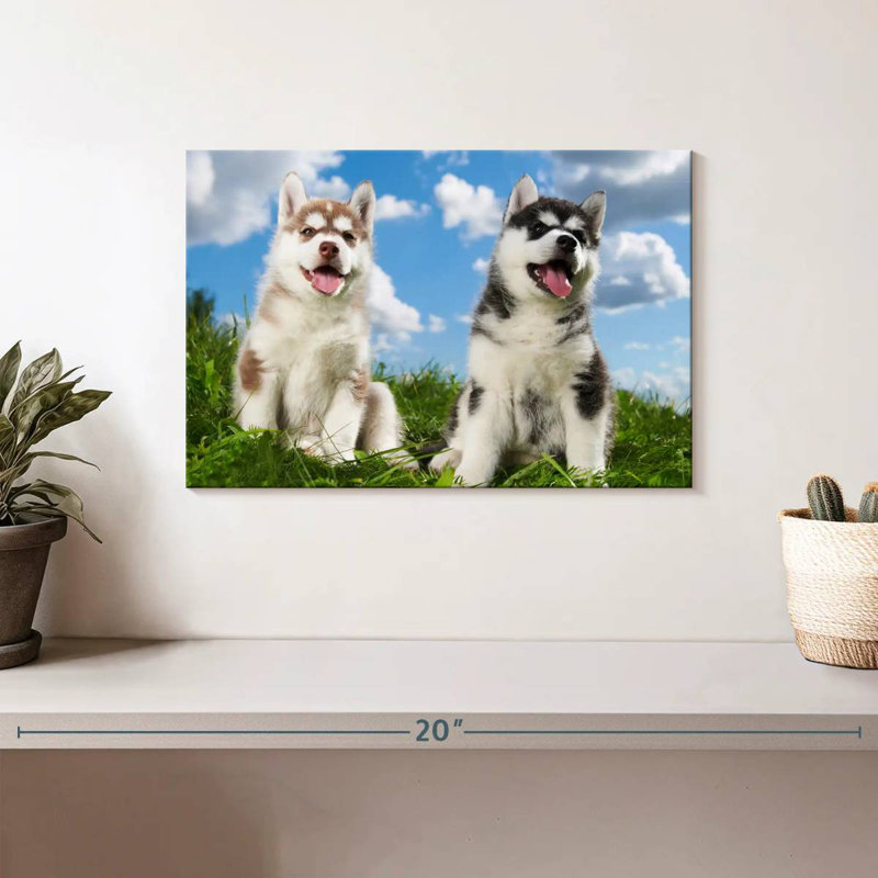 Husky Babies, H 8 po x l 12 po