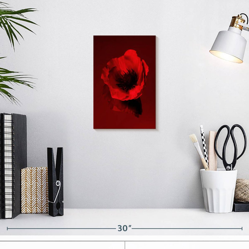 Dark Red Poppy, 12" H x 8" W