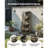 Outdoor Water Fountain 4-Tier Yard Fountain 35.63 in Block Stack Style