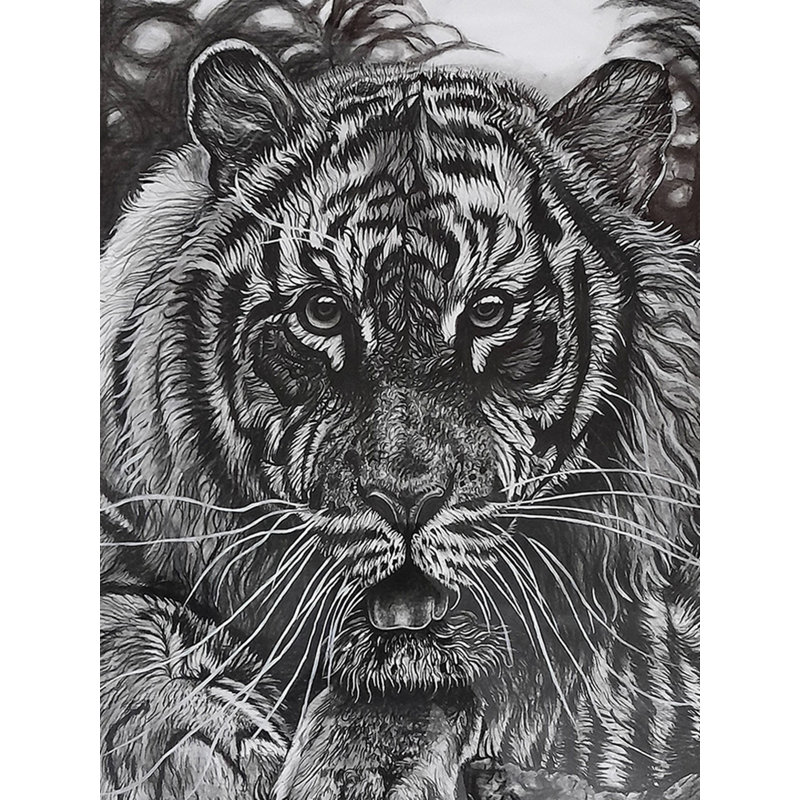 «Waiting For Hunt Tiger Charcoal», peinture sur papier encadrée - art animalier de 24,3 po x 24,12 po par Sudipta Sana