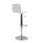 Astral Swivel Adjustable Height Bar Stool with Steel Frame-9240568