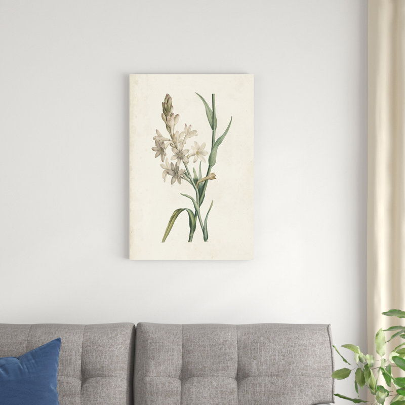 Classic Botanicals I, H 30 po x l 20 po