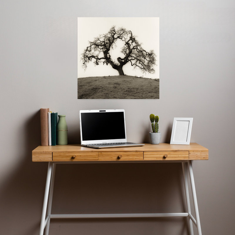 Hillside Oak Tree Abstract Contemporary Nature Wildlife Art, 18" H x 18" W