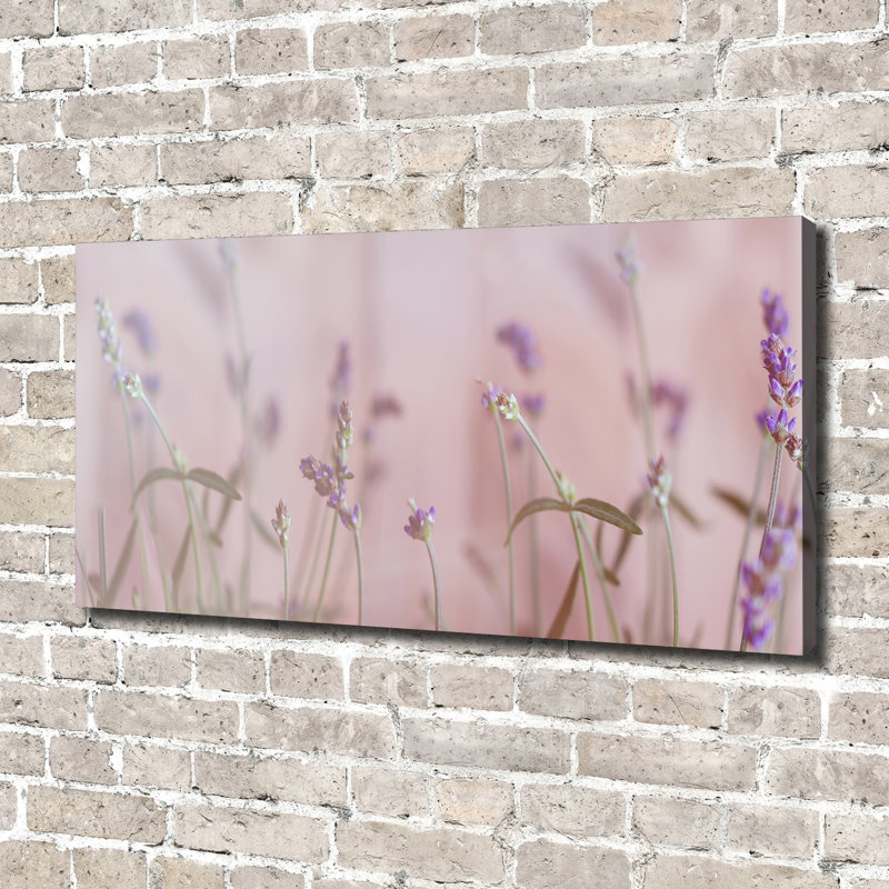 Lavender - Wrapped Canvas Print, 70cm H x 140cm W