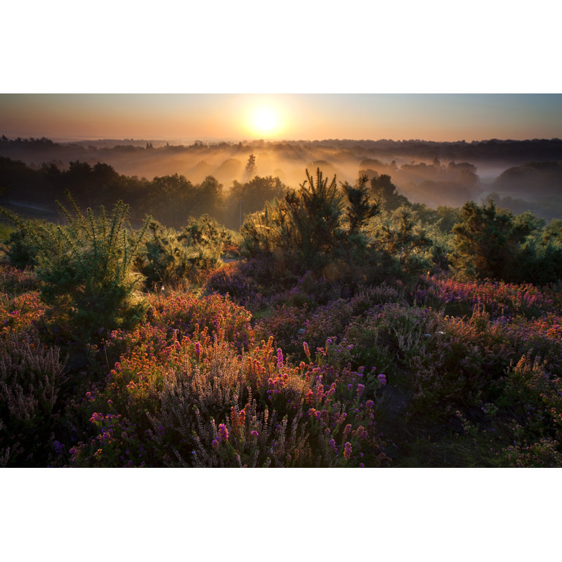 Surrey Dawn by Simonbradfield - Wrapped Canvas Print, 61cm H x 91cm W x 3.8cm D