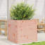 2 Wood Planter-100491984-100491989
