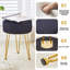 Vanity Accent Stool with Metal legs-1903850505