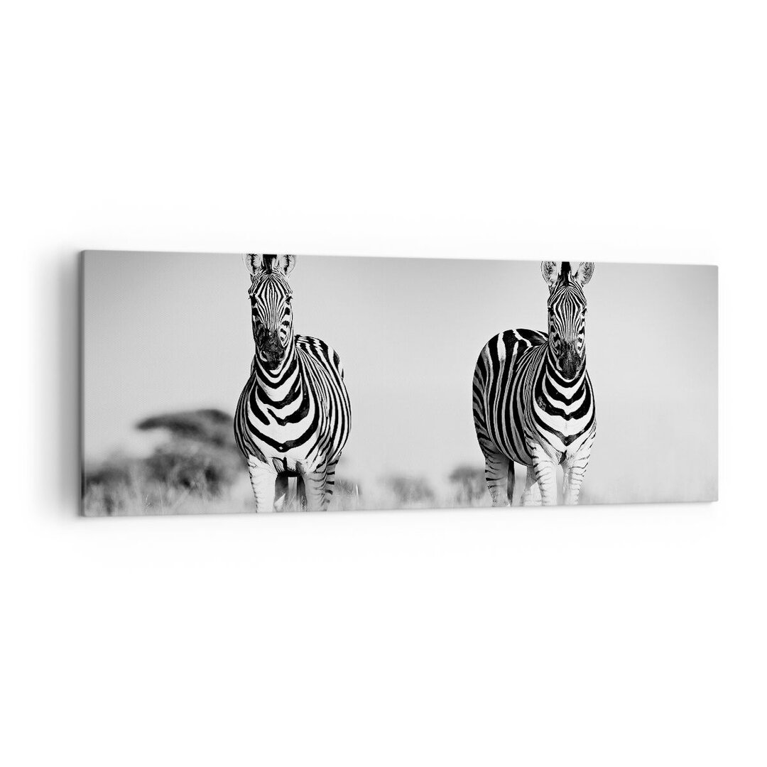 Leinwandbild Zebras Black and White