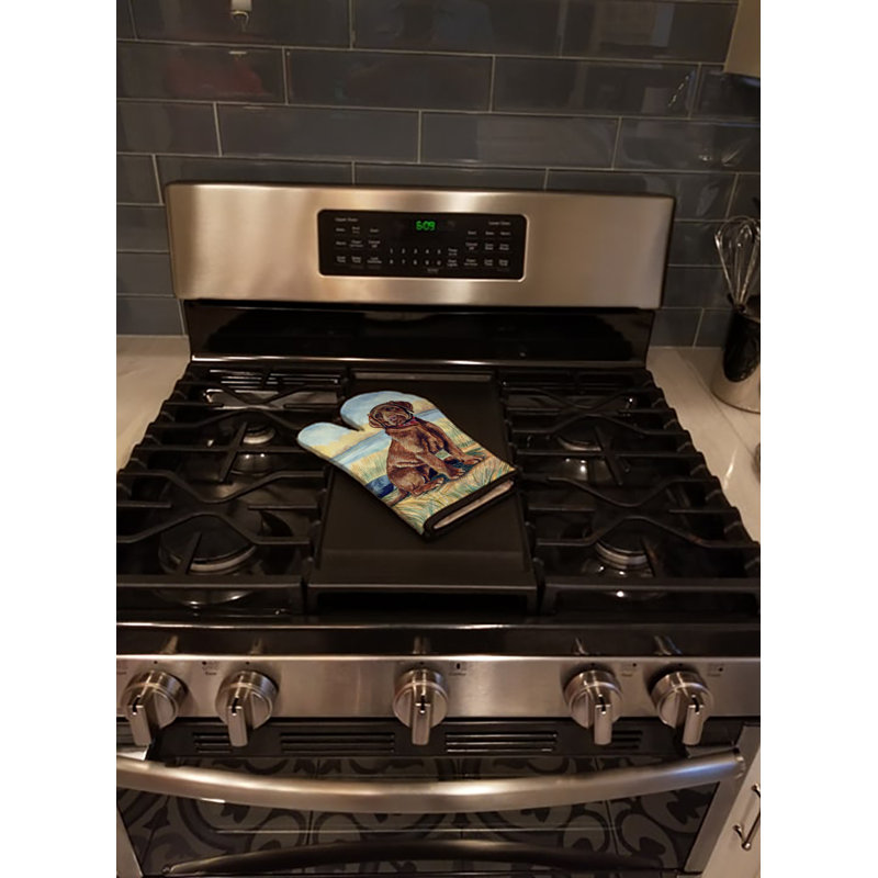 Red Barrel Studio® Polyester Oven Mitt