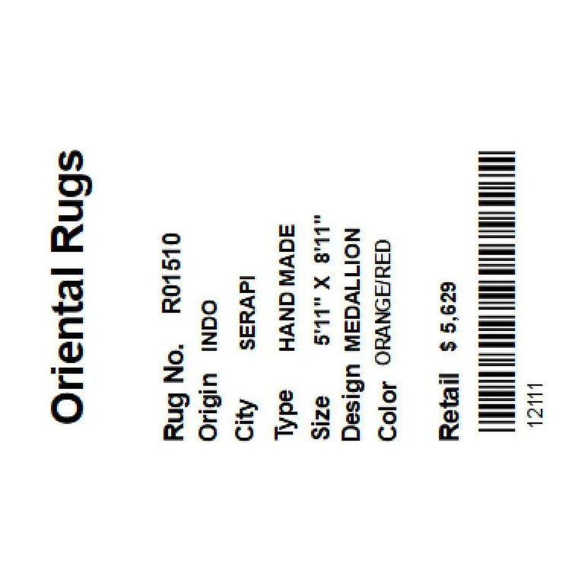 Oriental Area Rug in Orange