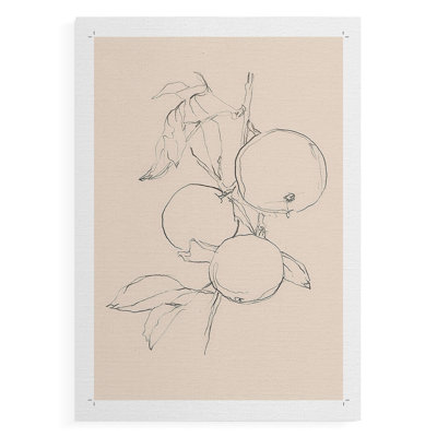 Fruit Contour Study I -Canvas Print Only - NOT FRAMED