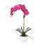 Silk Orchid Plant In White Vase-1870534632-1870534635