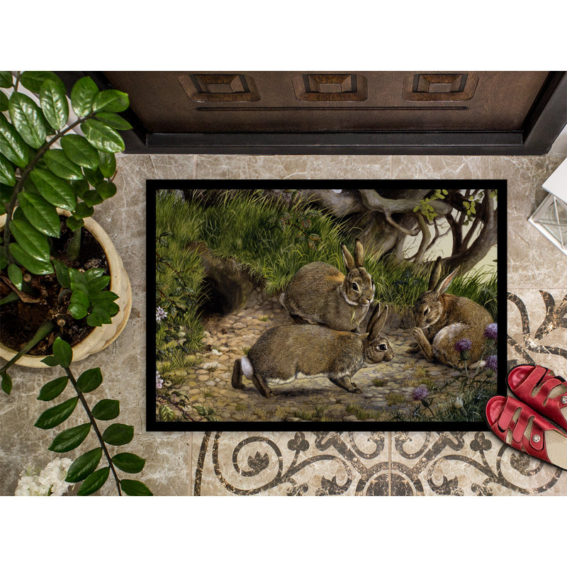 Tapis d'extérieur antidérapant Vergennes Rabbits and the Rabbit Hole, Rectangle 1 pi 6 po x 2 pi 3 po