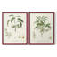 Impression encadrée botanique antique I-Premium - prête à être accrochée - aucun clou requis-1627489716-1627489717