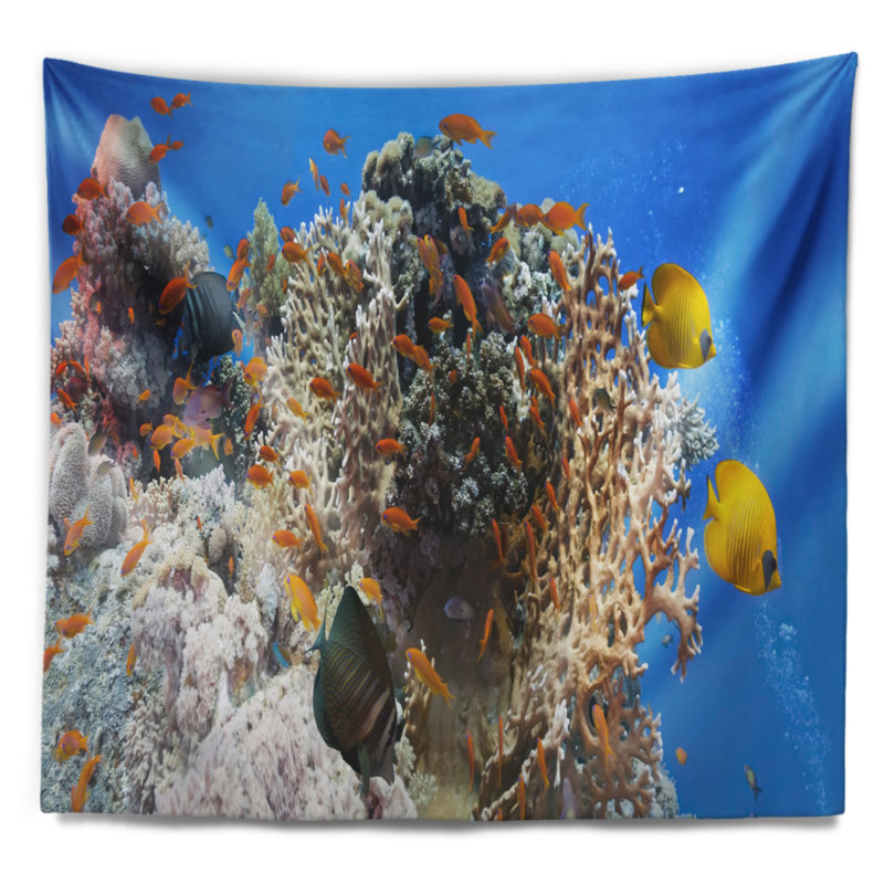 Photographie coral scene panorama tapisserie, H 68 po x l 80 po