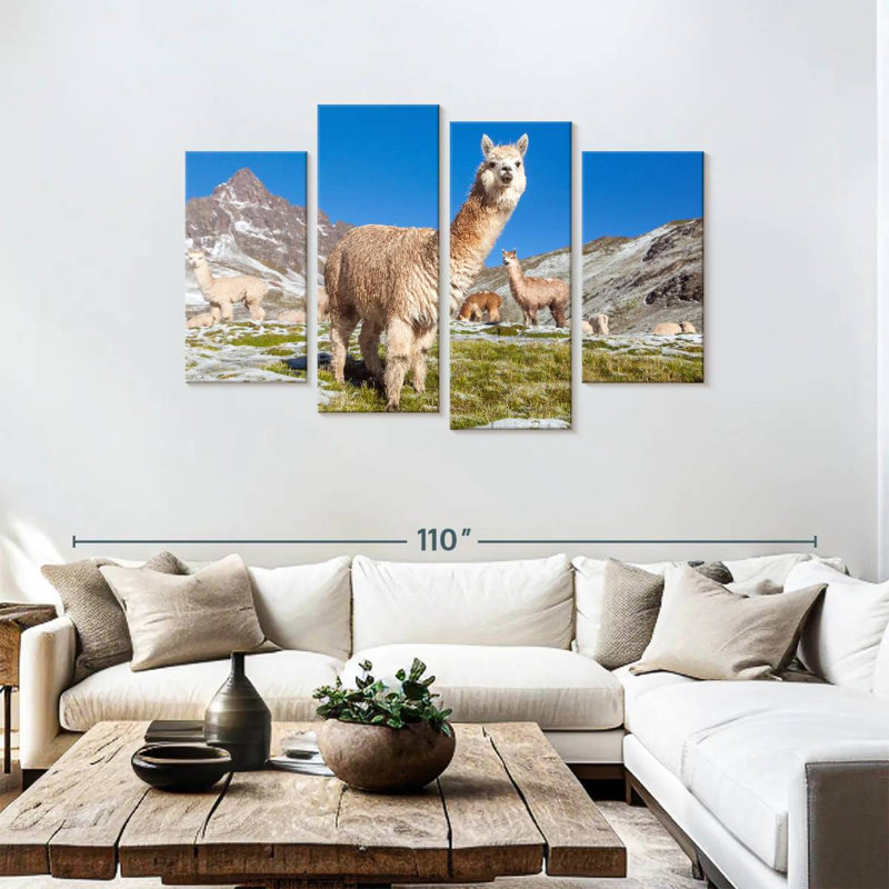 Lamas des Andes Brampt, H 48 po x l 75 po