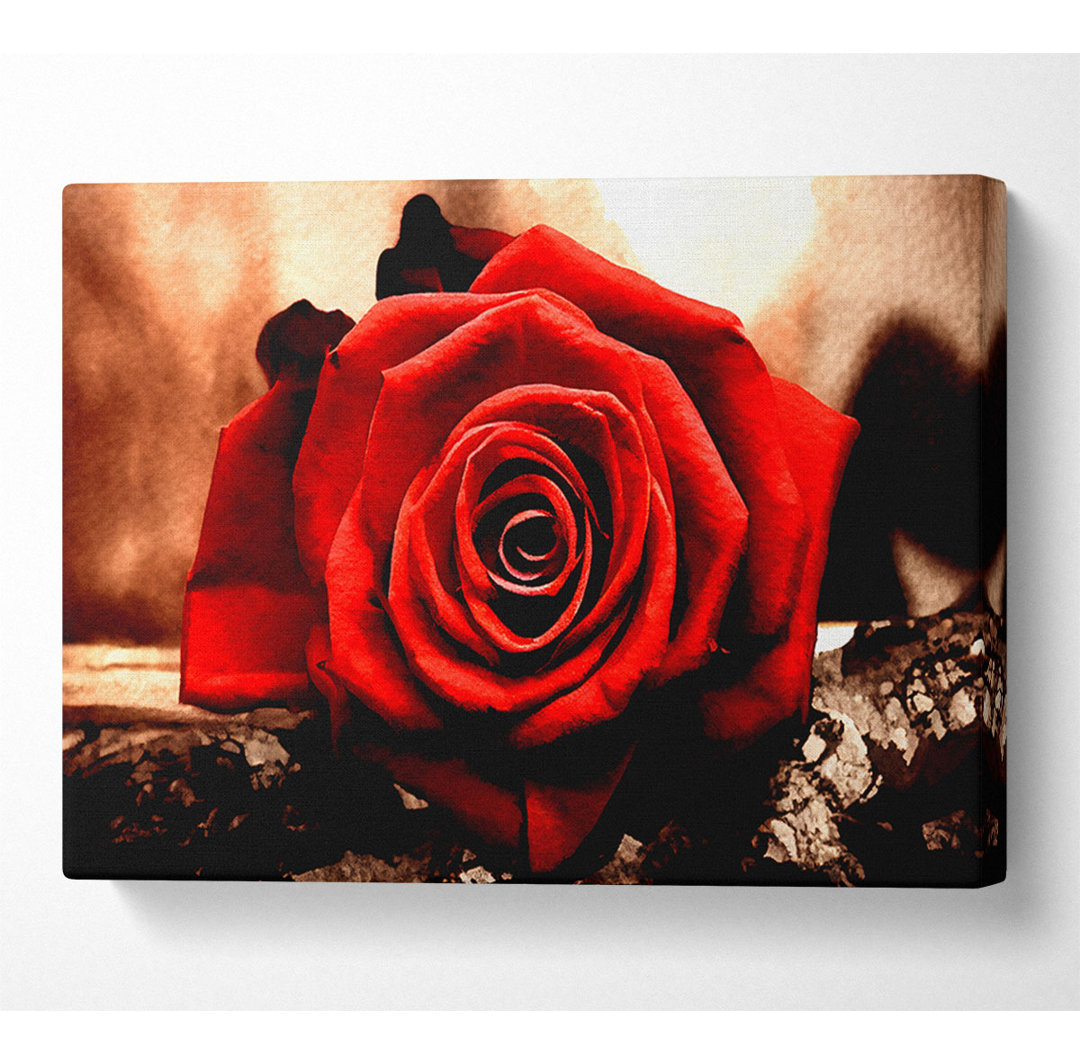 Valentinstag Rose - Kunstdrucke auf Leinwand - Wrapped Canvas