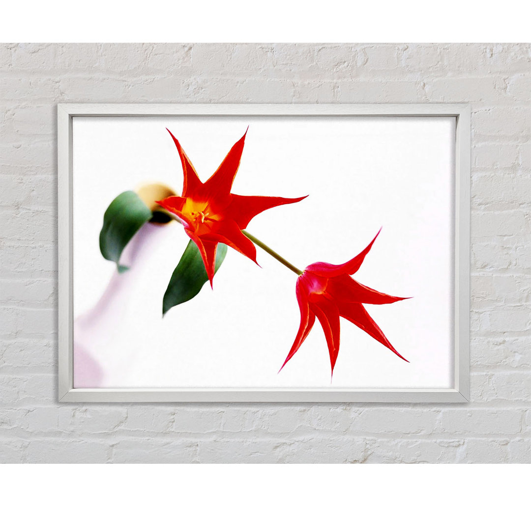 Gerahmtes Wandbild Twin Fire Tulip Centre