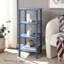 Dilyn 4 Tier Shelving Unit-1383154135