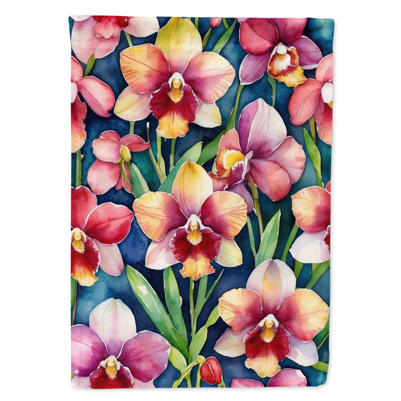 Orchidées paphiopedilum, drapeau du jardin, Orchidées Miltoniopsis