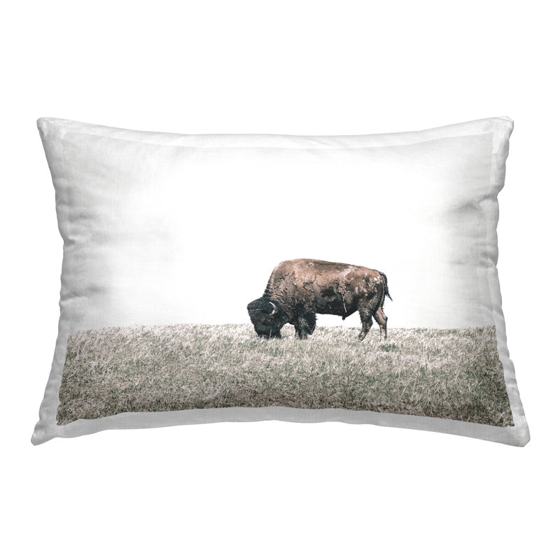 Coussin décoratif