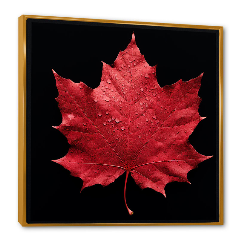 " Red Leaves Ruby Reduction I ", Black Floater Framed, 30" H x 30" W x 1" D