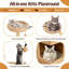 129 cm H Cat Tree / Condo