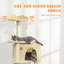 Cat Tree-119765483-119765482