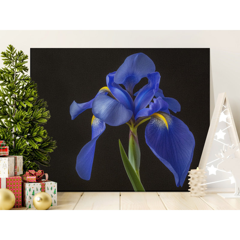 Schrock Wrapped Canvas Print Set, 60x30