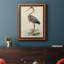 Toile encadrée de qualité supérieure antique Heron II - prête à être accrochée-771777375